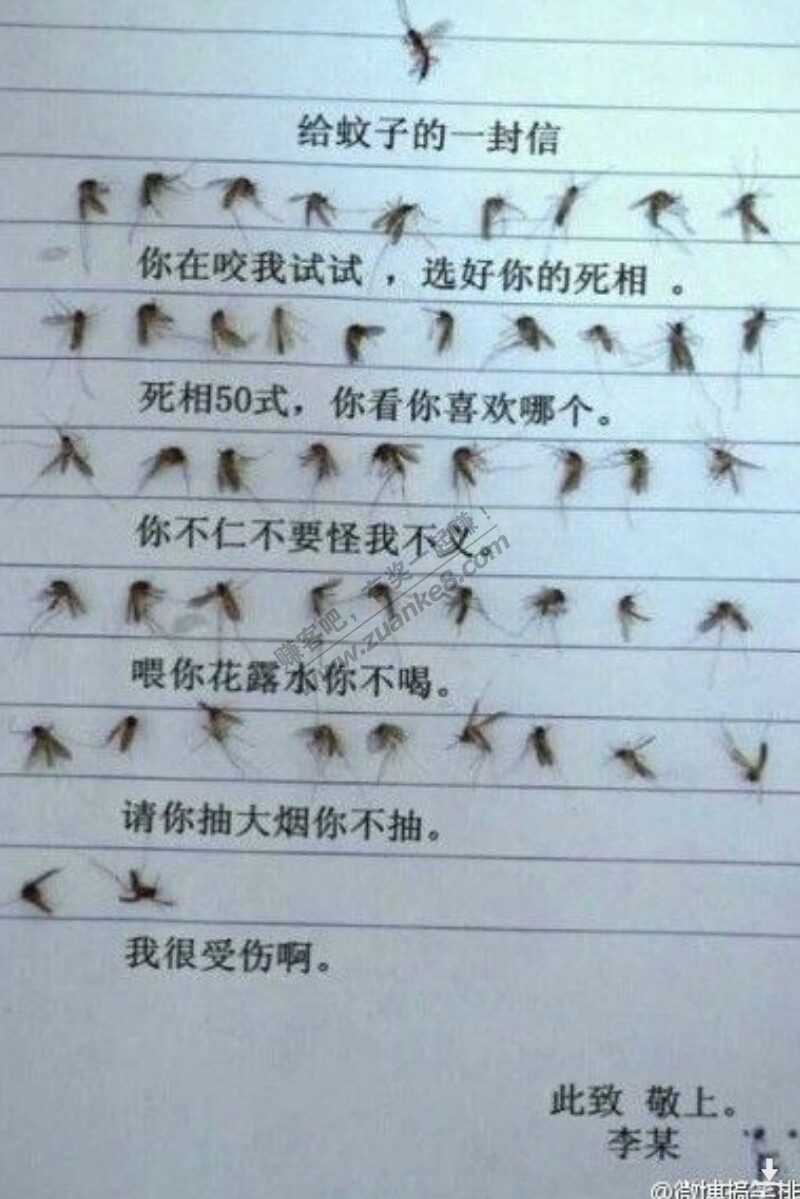 拍死个蚊子,,,,只是流的我的血