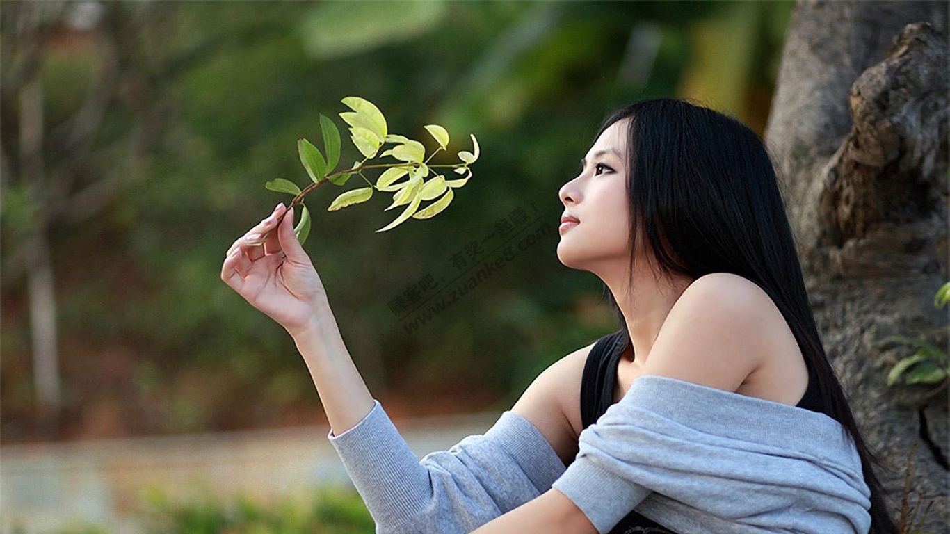 撸累了,养养眼,图片已打包,百度网盘 - 赚客大家