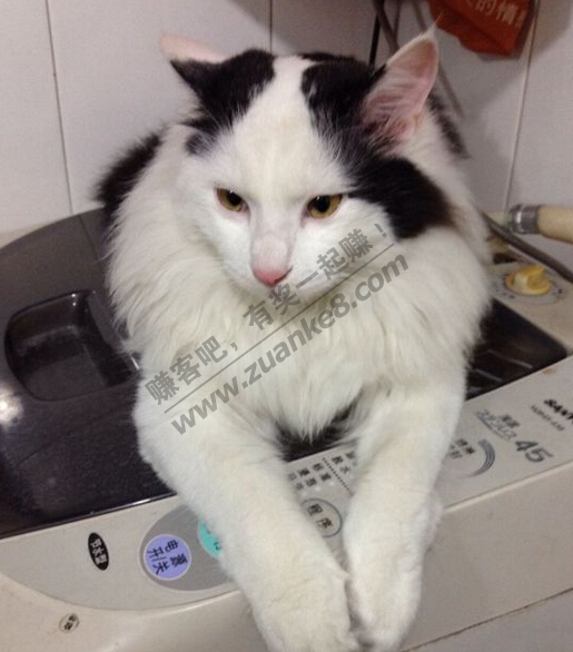 <em>什么</em>东西<em>能让头发变</em>多变<em>浓密</em>? - 赚客大家谈 - 