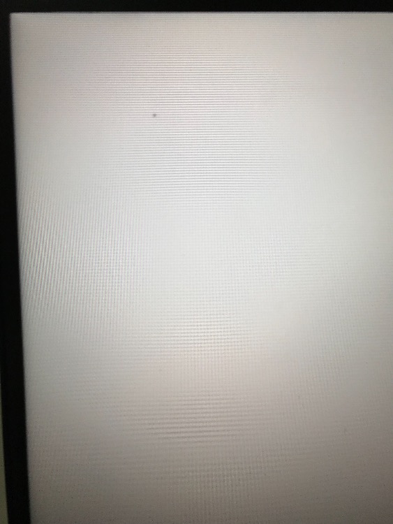 事实：如果屏幕上出现黑点该怎么办？