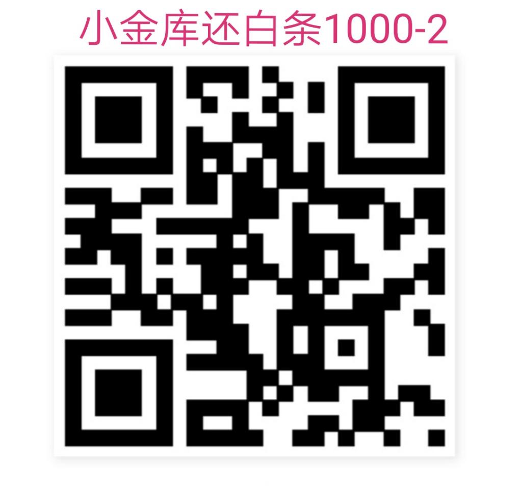 小金库还白条1000-惠小助(52huixz.com)