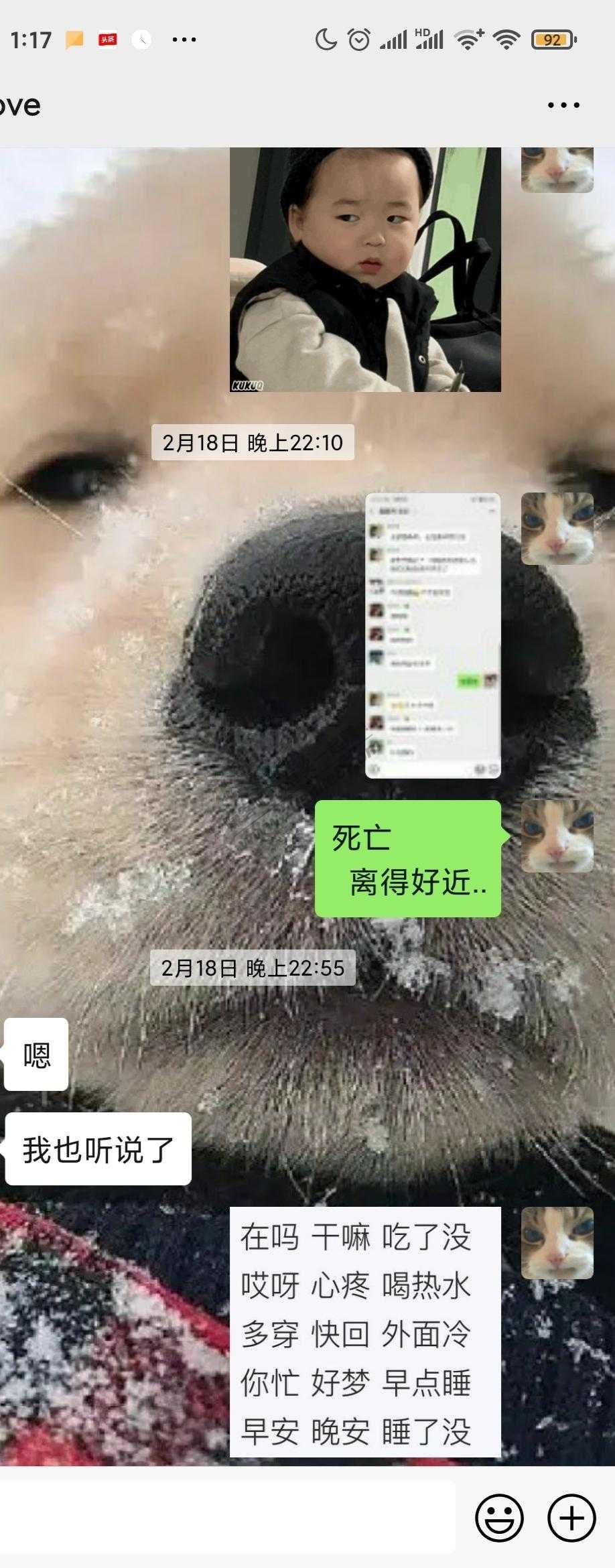 舔狗舔狗  舔到最后一无所有-惠小助(52huixz.com)