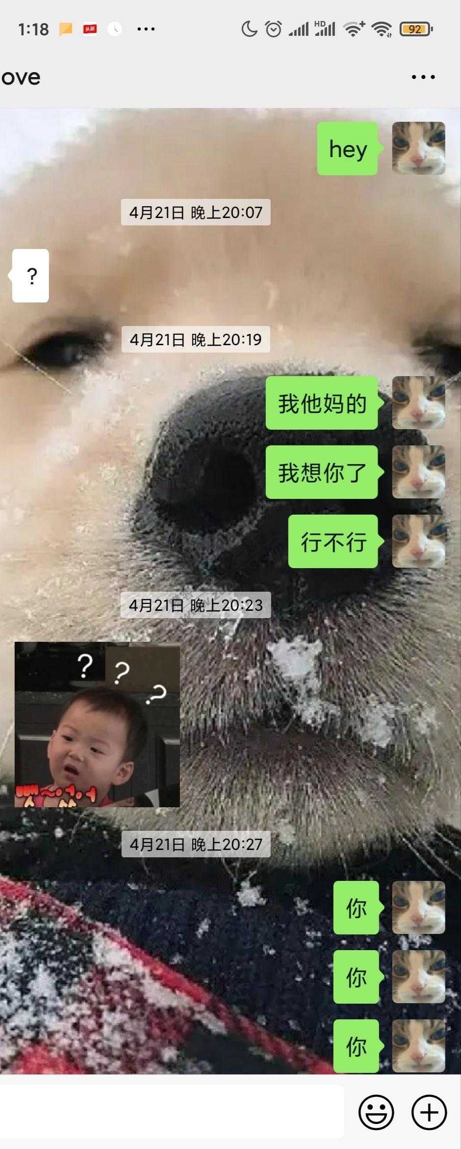 舔狗舔狗舔到最后一无所有