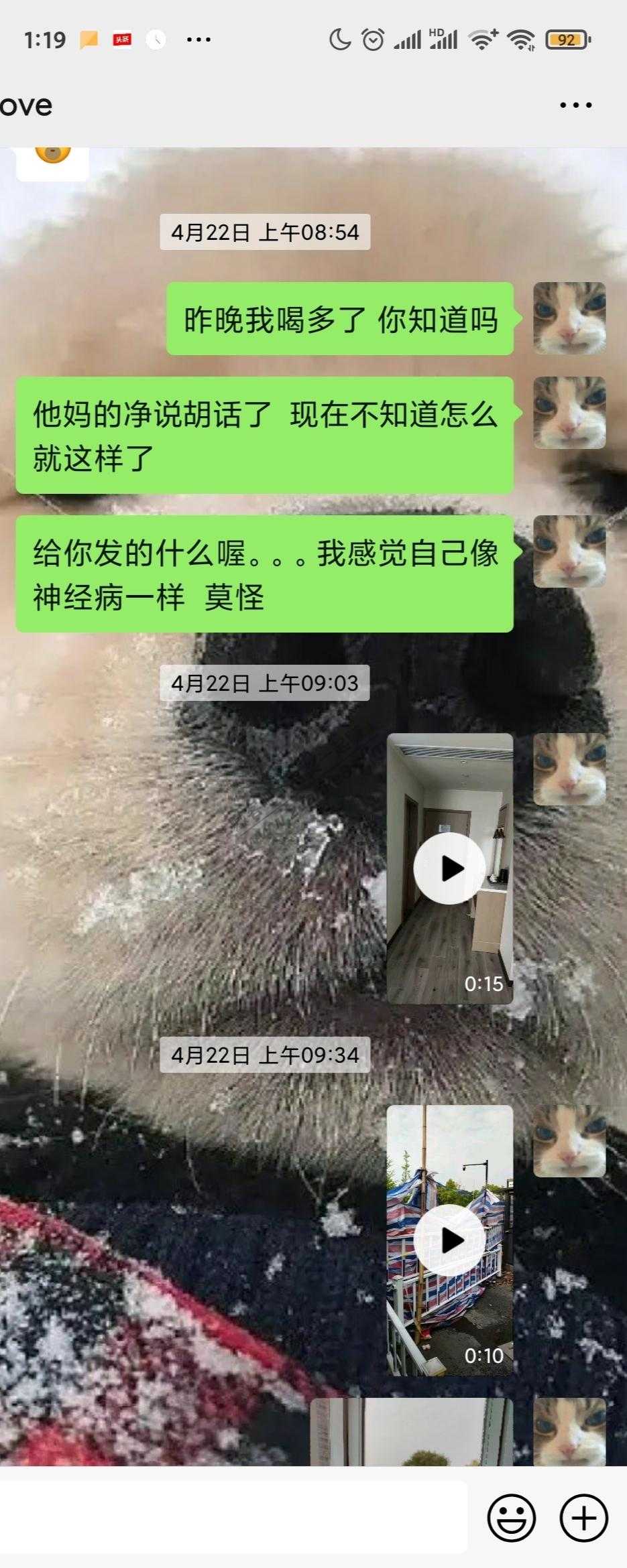 舔狗舔狗  舔到最后一无所有-惠小助(52huixz.com)