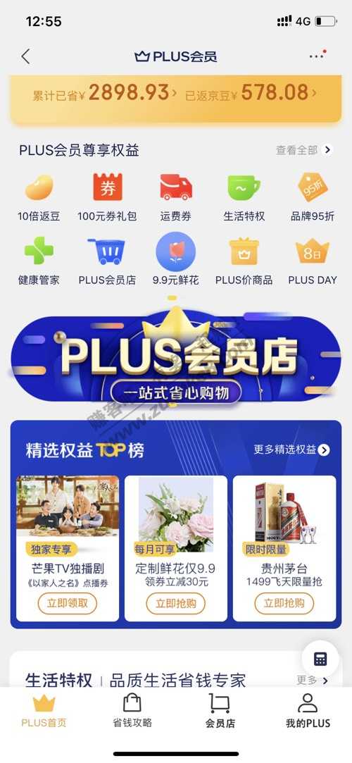 plus会员一个月可以一次9.9买花权益-惠小助(52huixz.com)