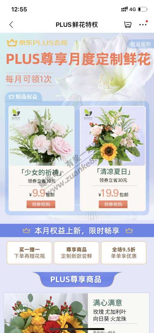 plus会员一个月可以一次9.9买花权益-惠小助(52huixz.com)