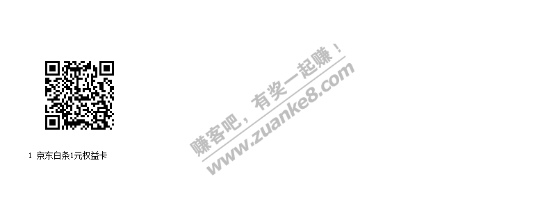 0.01抢 京东白条1元权益卡  新-惠小助(52huixz.com)