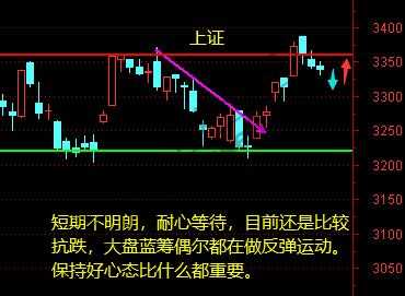 上证、证券、5G11月12日操作分析-惠小助(52huixz.com)