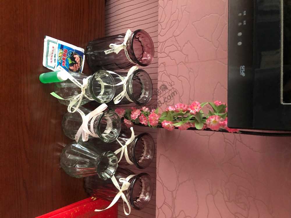 嗮一嗮双11我买的绿植和花瓶-惠小助(52huixz.com)