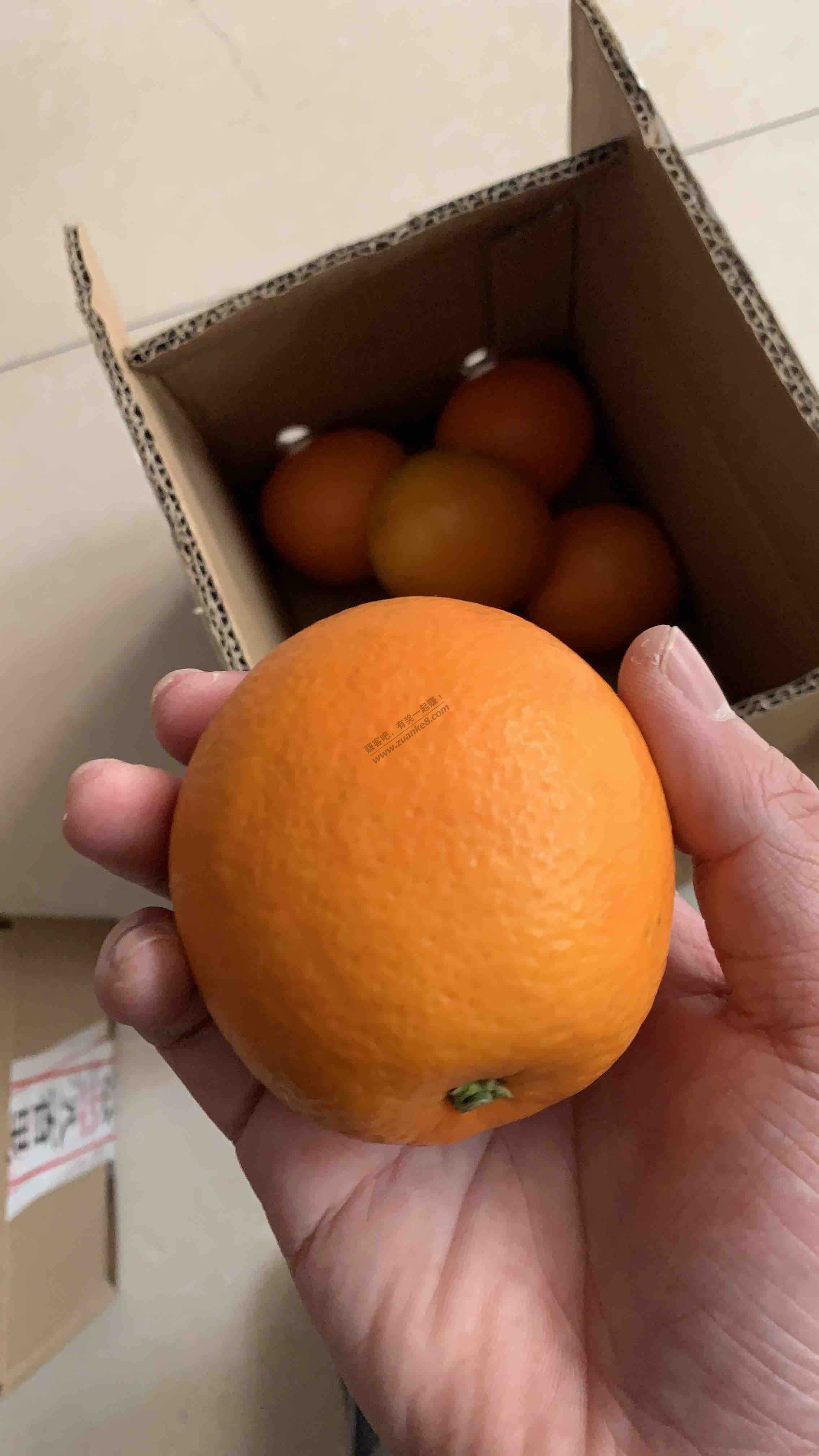 发财-上次的免单橙子收到了-比国美一块钱的还要好-今晚还有-惠小助(52huixz.com)