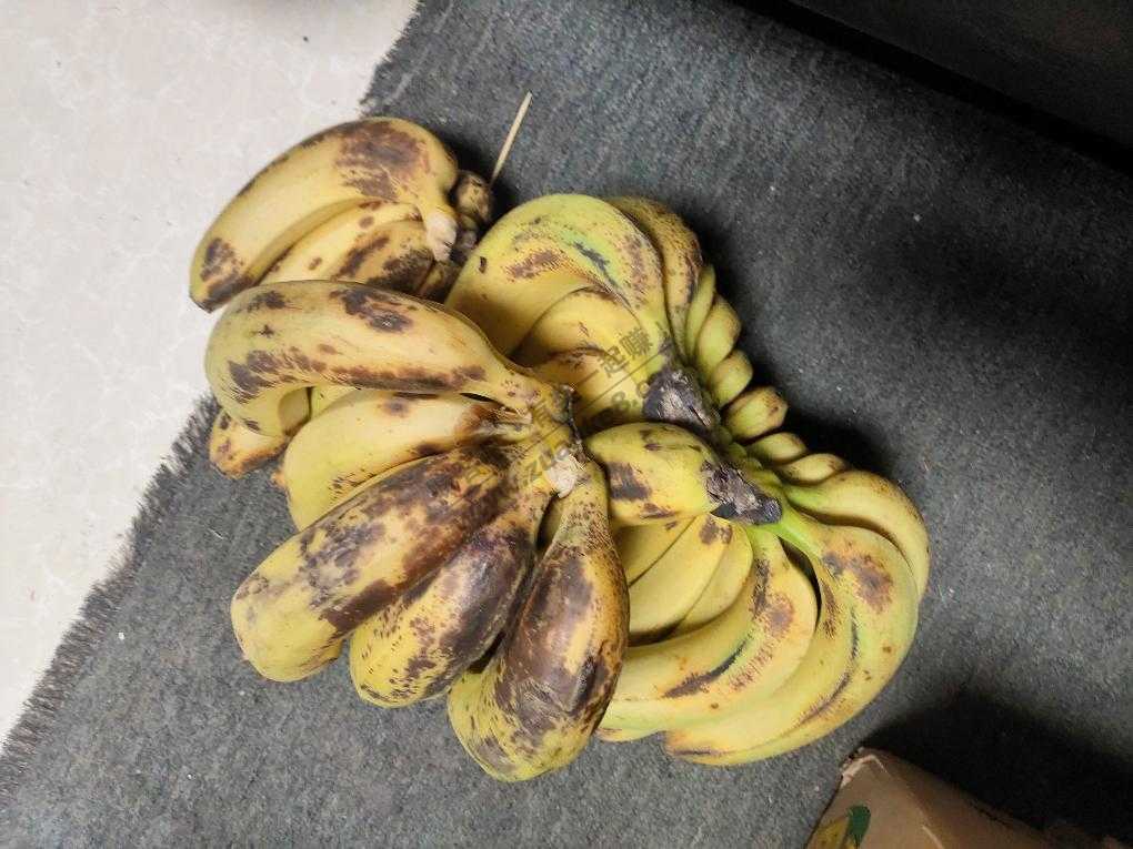 苏宁上买的香蕉26天了 还没熟-惠小助(52huixz.com)