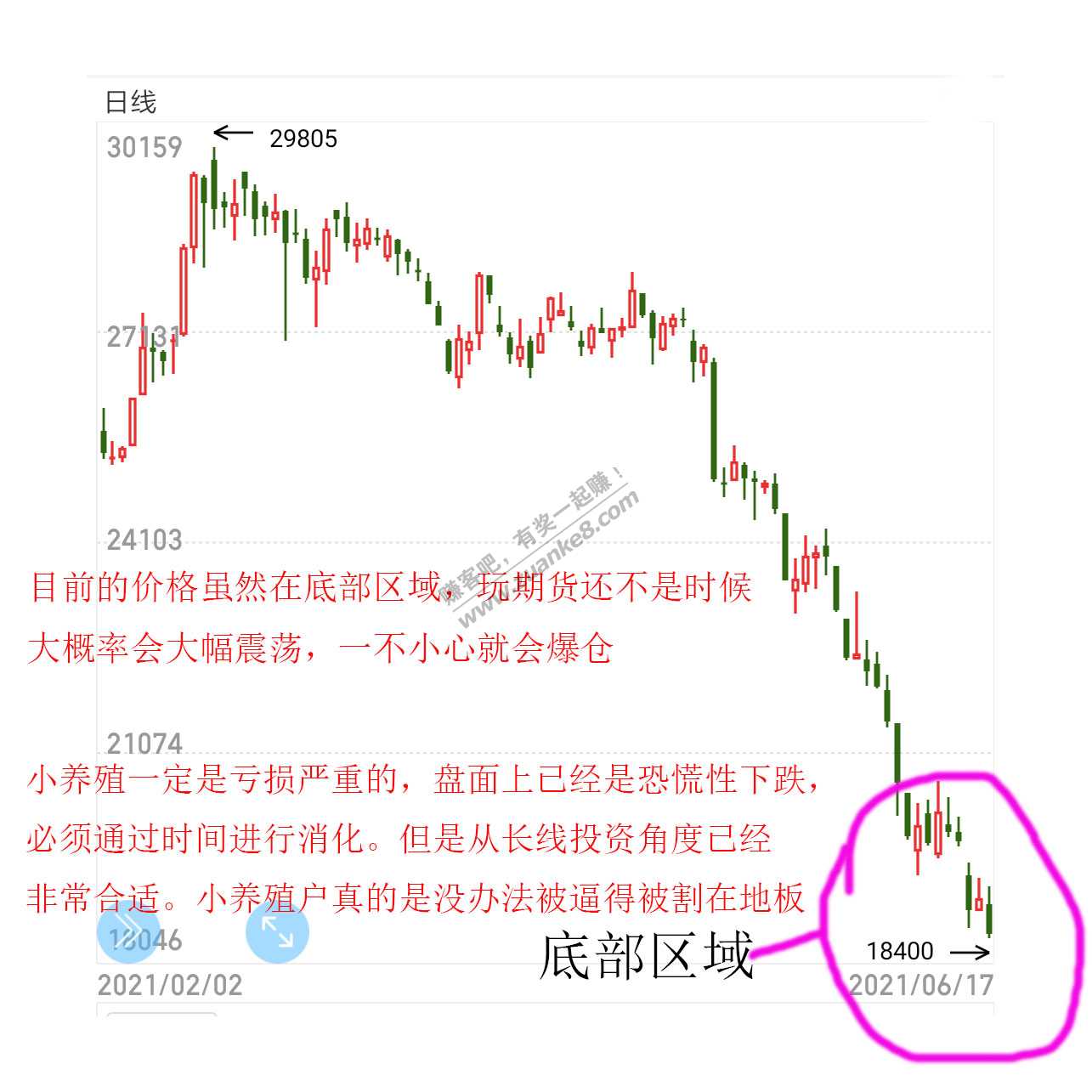 生猪价格分析 特别篇 6月18日分析-惠小助(52huixz.com)