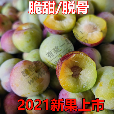 天茅甜李子2.9元1斤-消灭小红包-惠小助(52huixz.com)