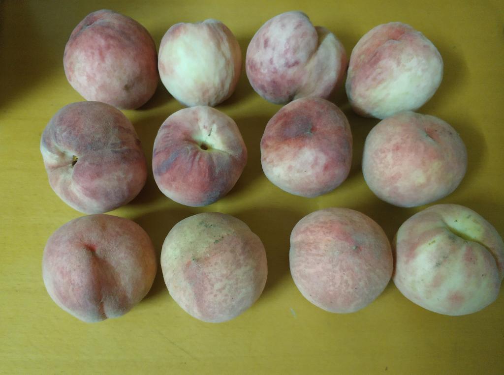021晚饭后去线下买了12个桃子-品相一般-胜在基本免费-惠小助(52huixz.com)